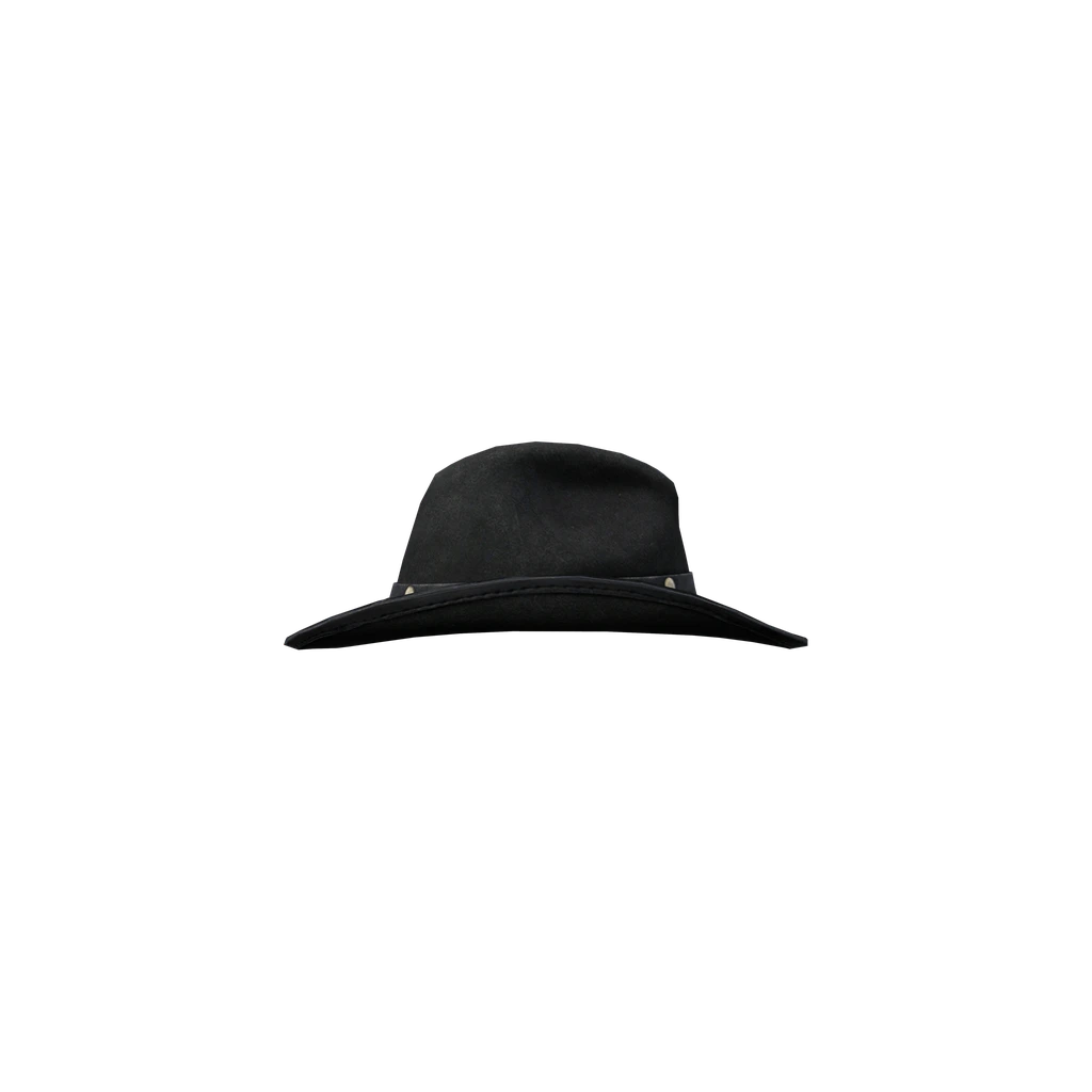 Cowboy Hat (CowboyHat_black), DayZ