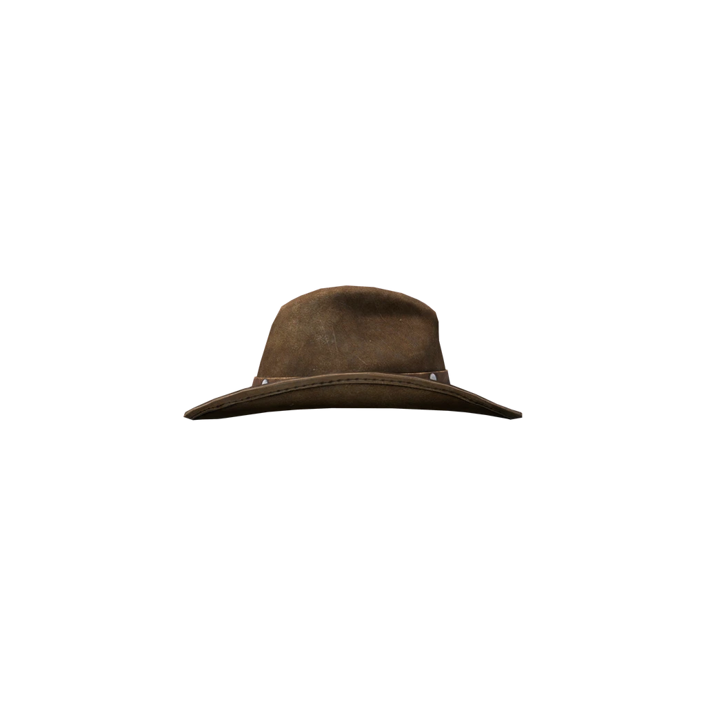 Ковбойская шляпа (CowboyHat_darkBrown), DayZ