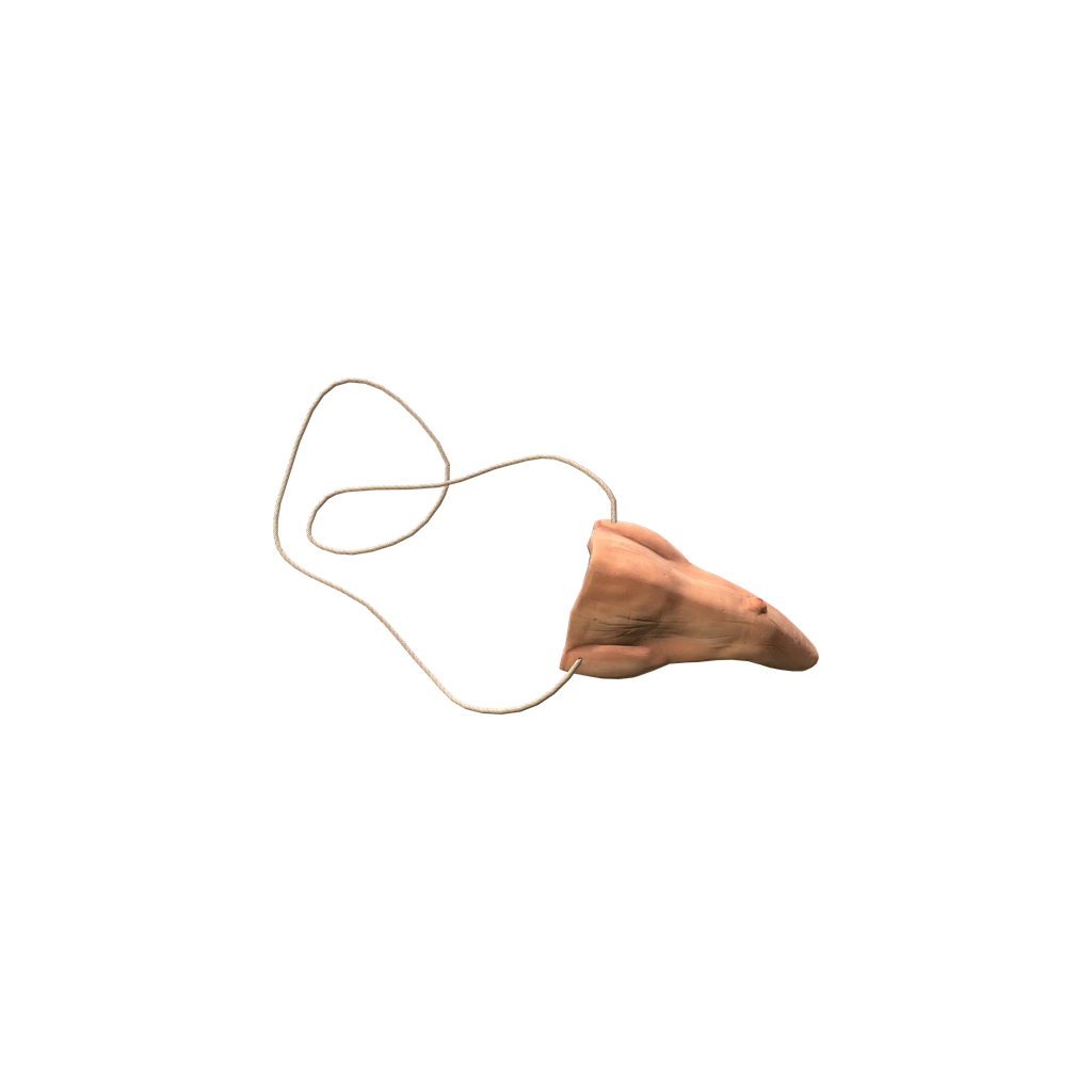 Кривой нос (CrookedNose), DayZ