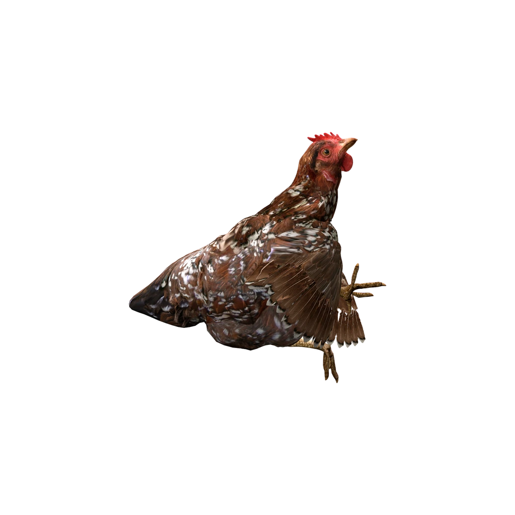Курица (DeadChicken_Spotted), DayZ