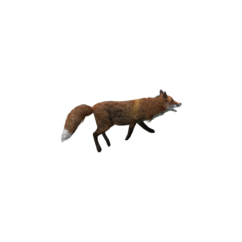 Рыжая лисица (DeadFox), DayZ