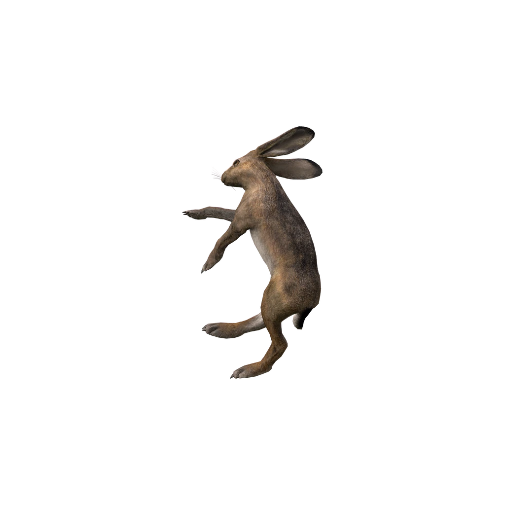 Заяц (DeadRabbit), DayZ
