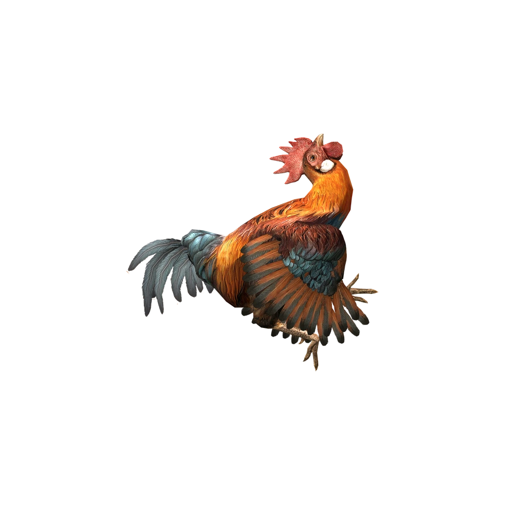 Петух (DeadRooster), DayZ