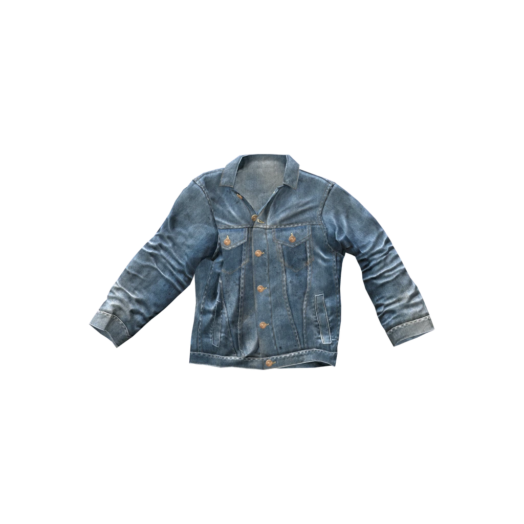 Джинсовая куртка (DenimJacket), DayZ