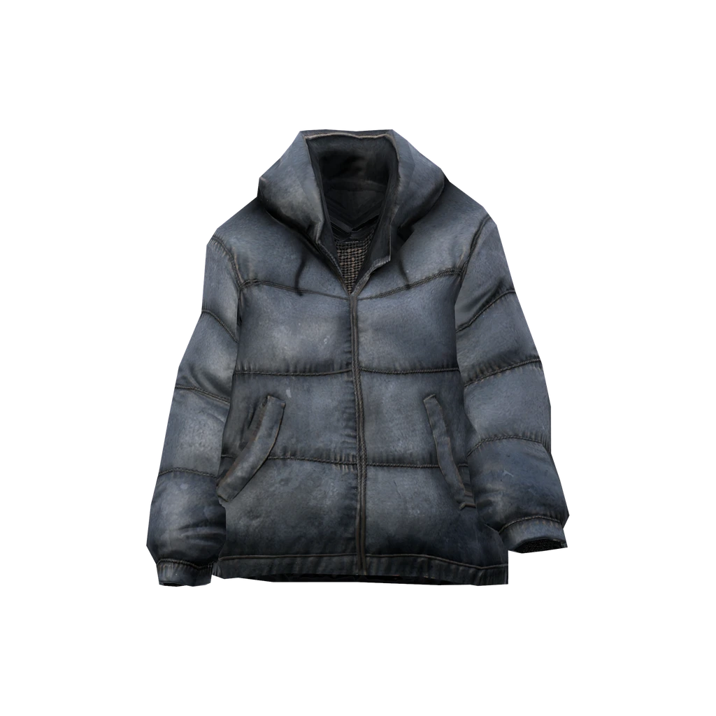 Пуховик (DownJacket_Blue), DayZ