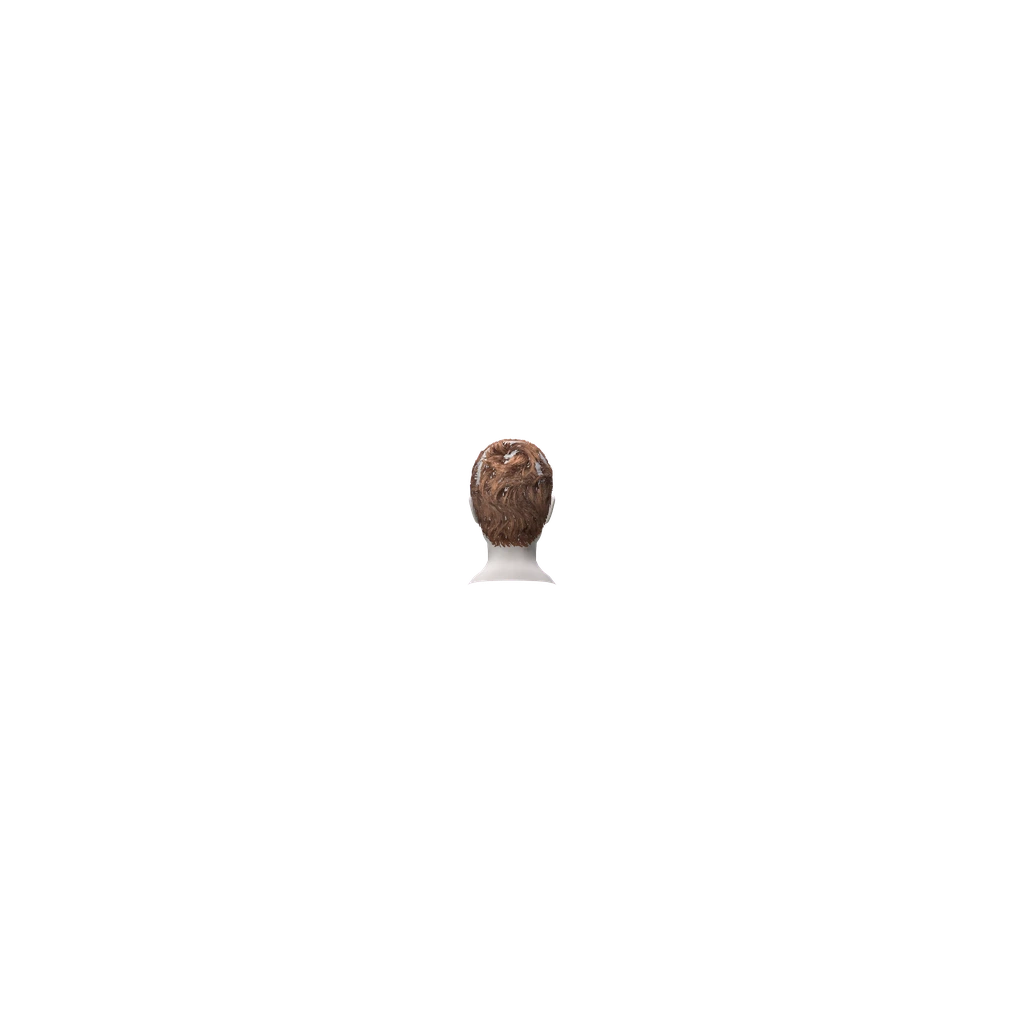 face (FemaleFridaHead), DayZ