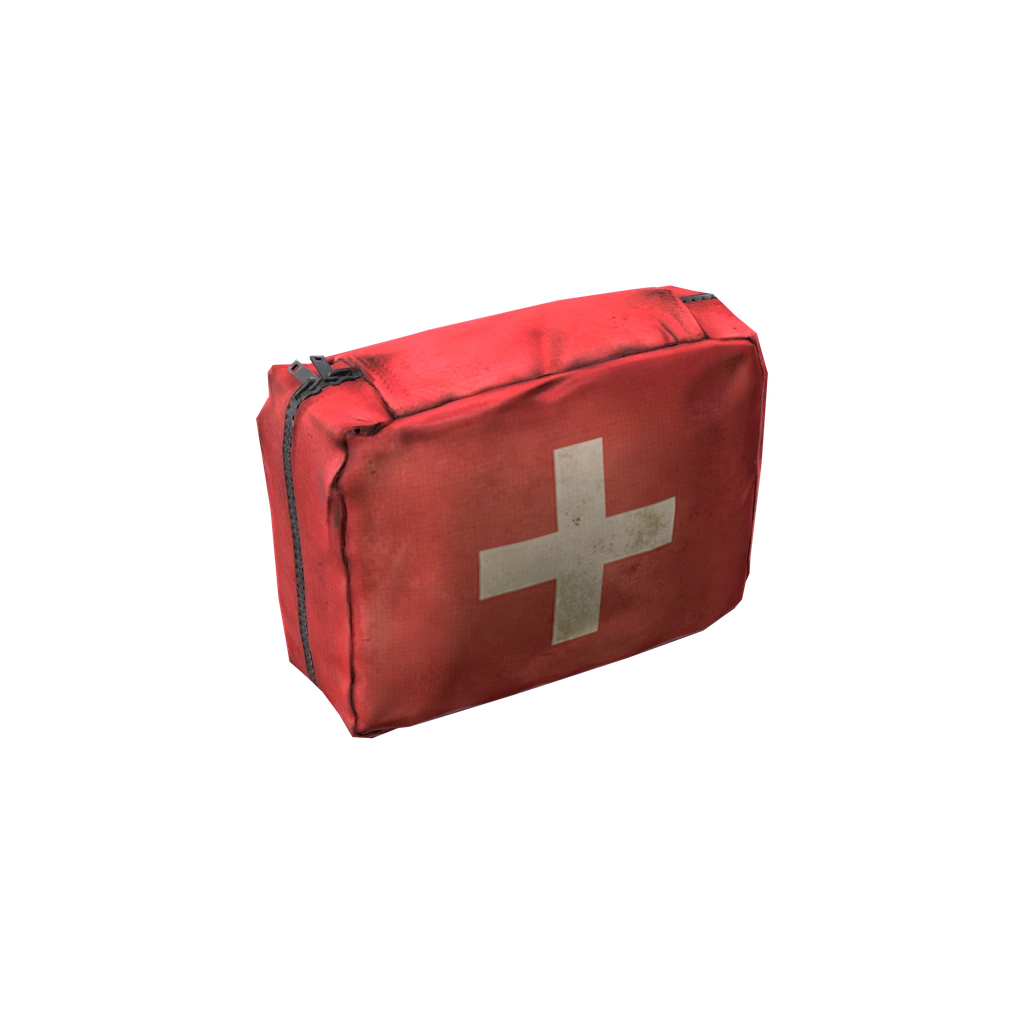 Erste-Hilfe-Tasche (FirstAidKit), DayZ