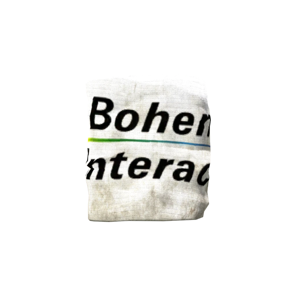 Flag (Flag_Bohemia), DayZ