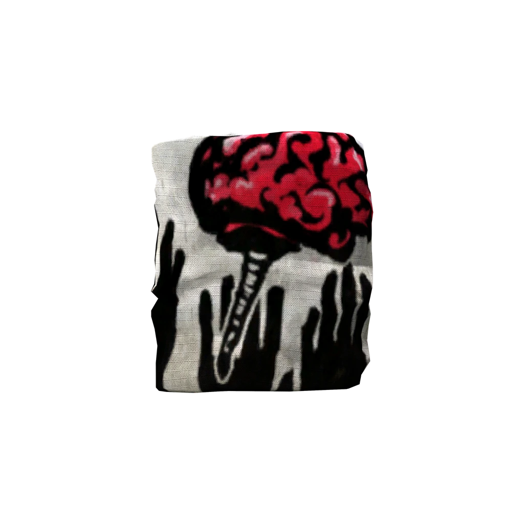 Flagge (Flag_BrainZ), DayZ
