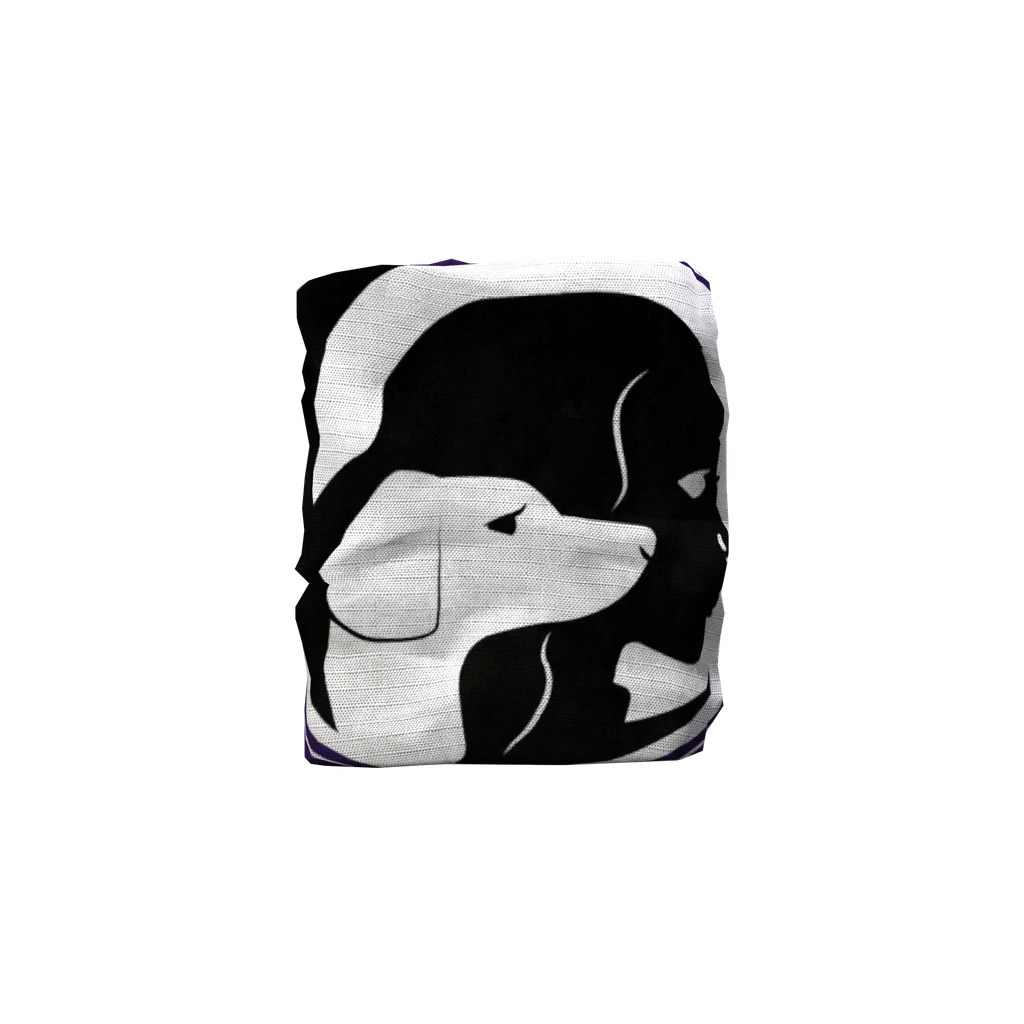 Flag (Flag_Rex), DayZ