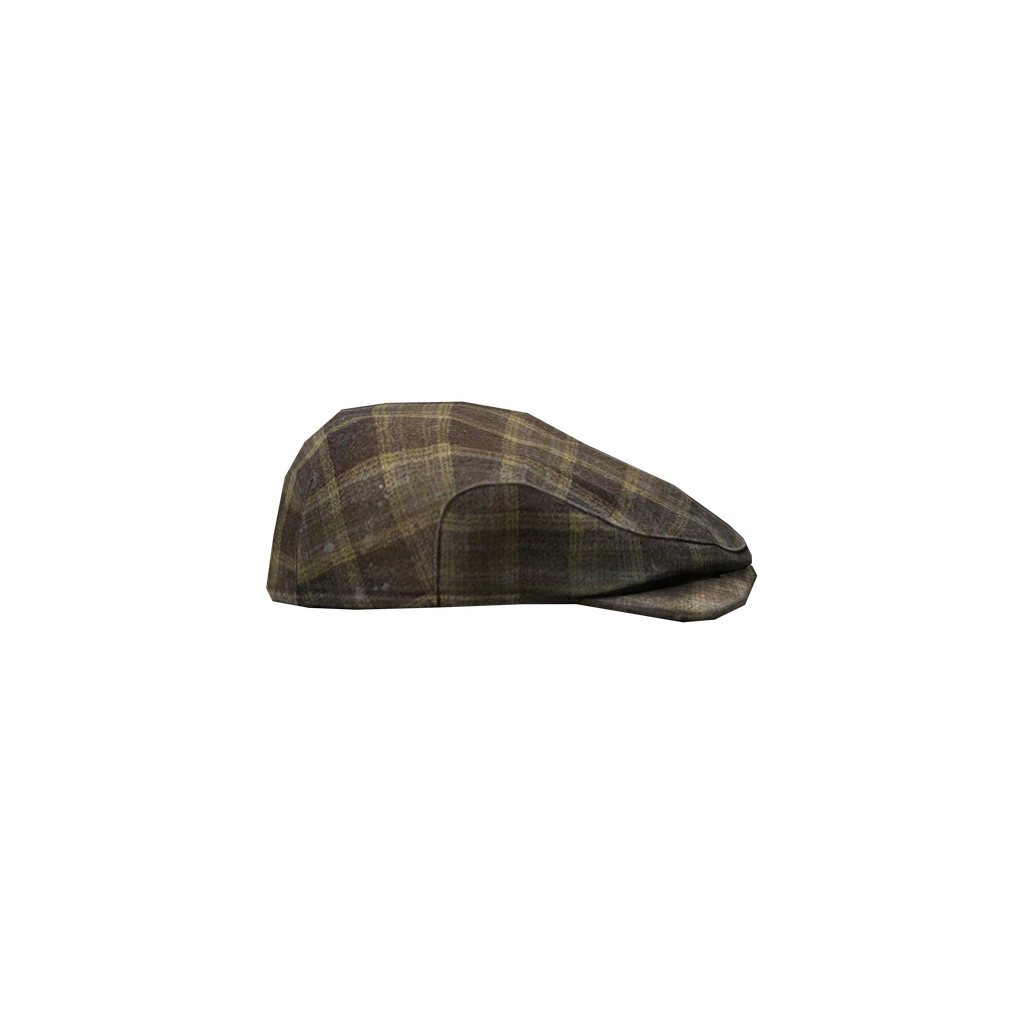 Flat Cap (FlatCap_Brown), DayZ