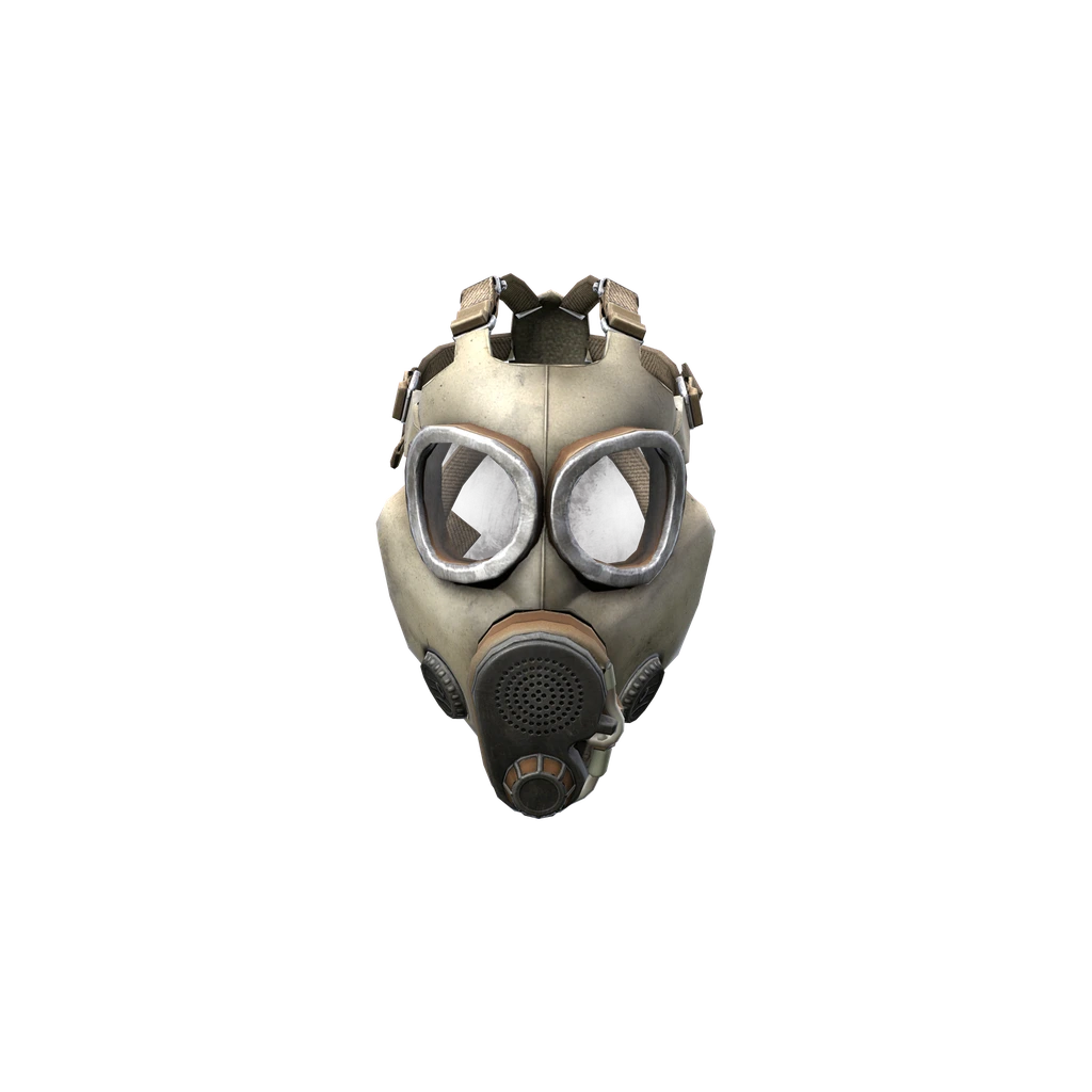 Kampf-Gasmaske (GasMask), DayZ