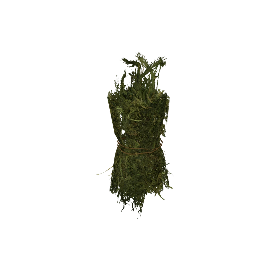 Ghillie Suit (GhillieSuit_Woodland), DayZ