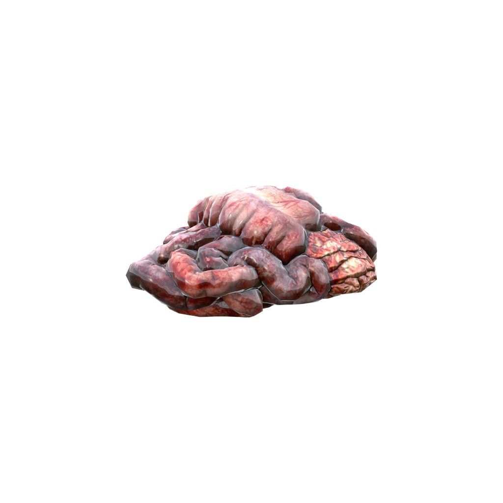 Innereien (Guts), DayZ