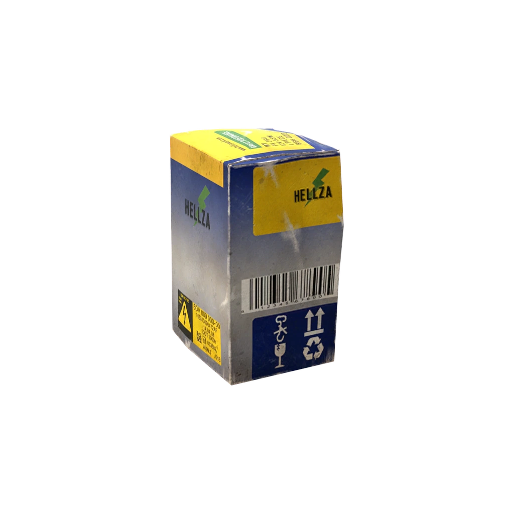 Verpackte Scheinwerferlampe (HeadlightH7_Box), DayZ