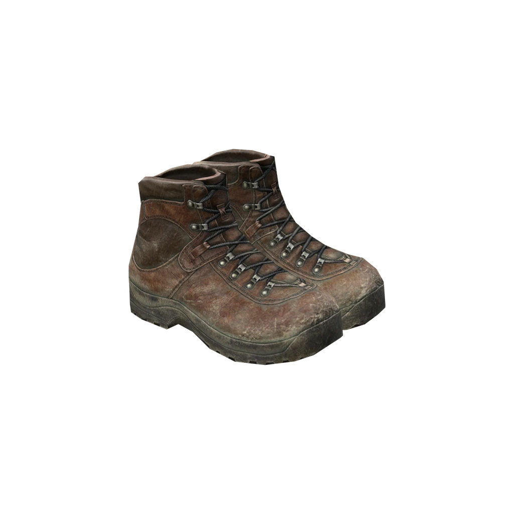 Wanderschuhe (HikingBoots_Brown), DayZ