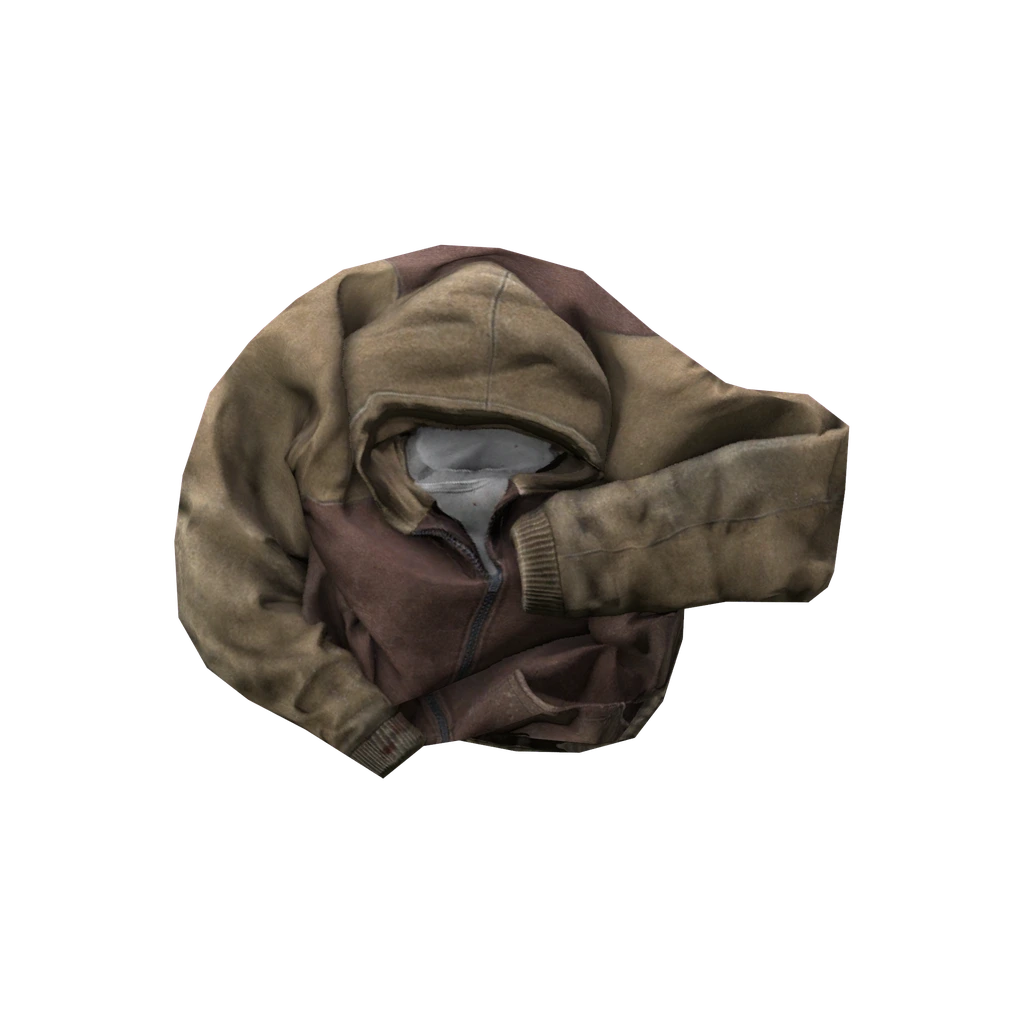Толстовка (Hoodie_Brown), DayZ