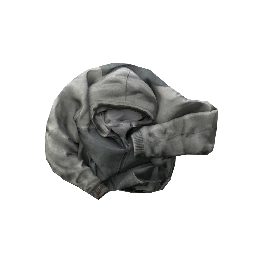 Moletom com capuz (Hoodie_Grey), DayZ