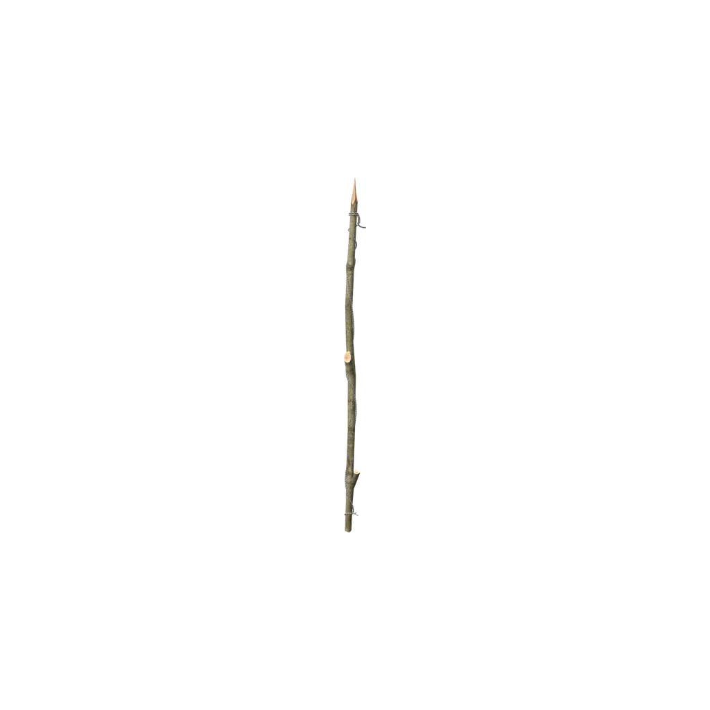 Примитивная удочка (ImprovisedFishingRod), DayZ