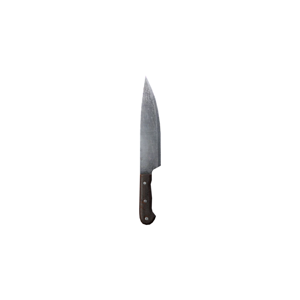 Küchenmesser (KitchenKnife), DayZ