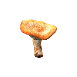 Рыжик