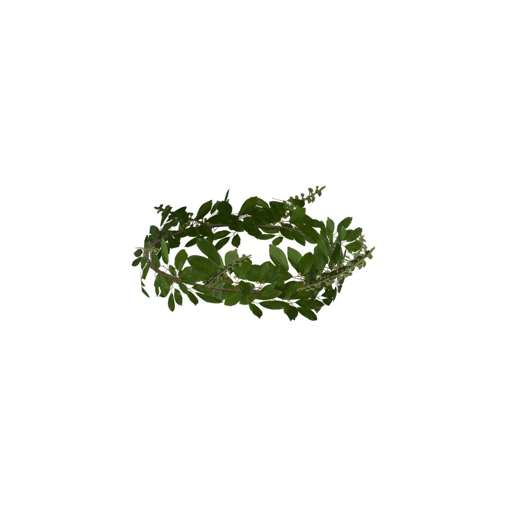 Венок из листьев (LeafCrown_Summer), DayZ