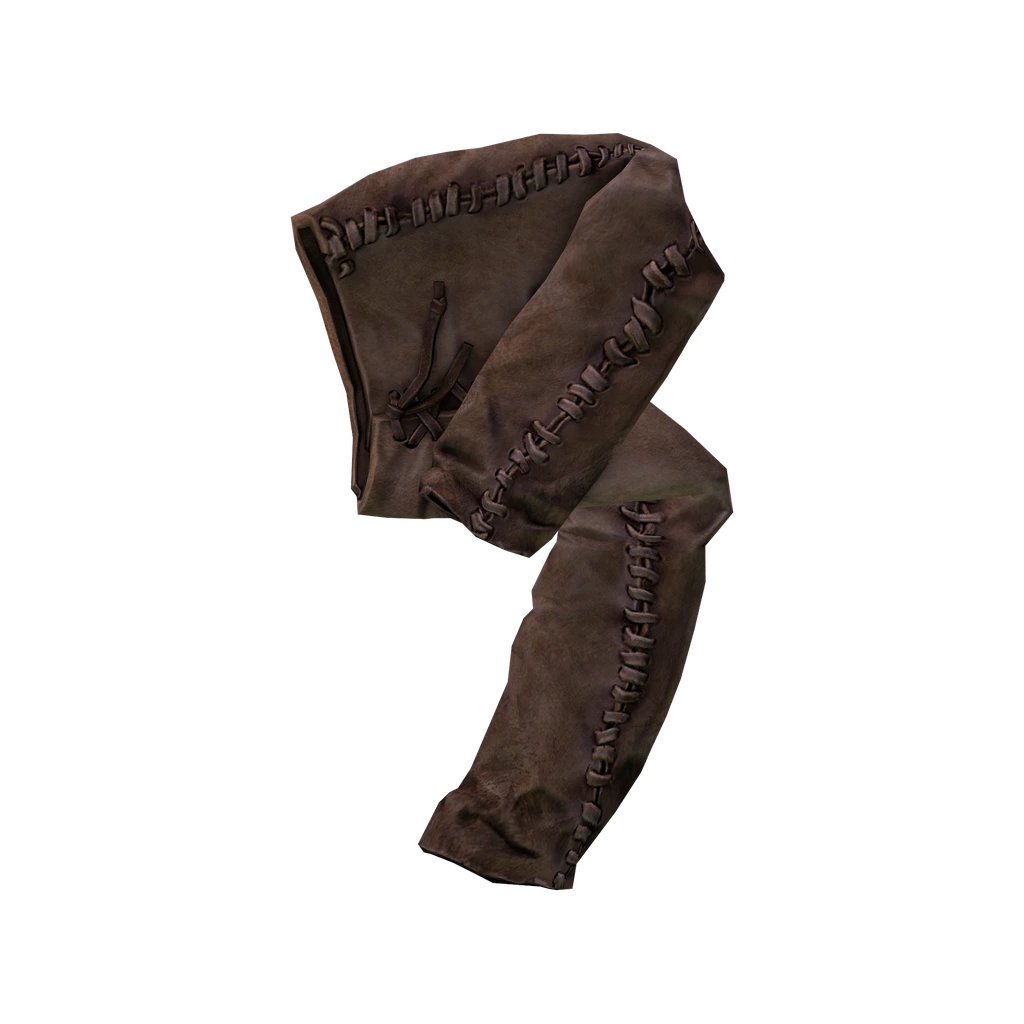 Кожаные штаны (LeatherPants_Black), DayZ