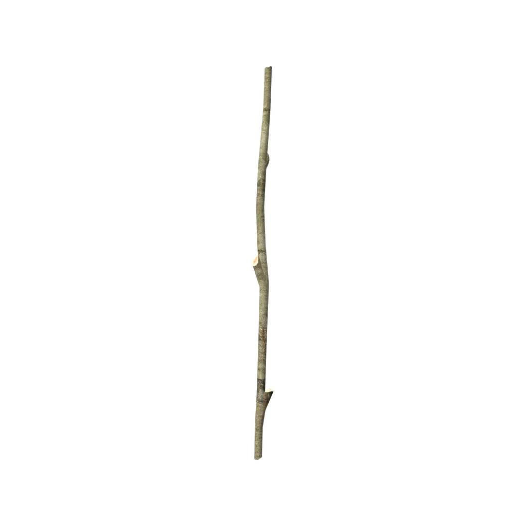 Длинная палка (LongWoodenStick), DayZ