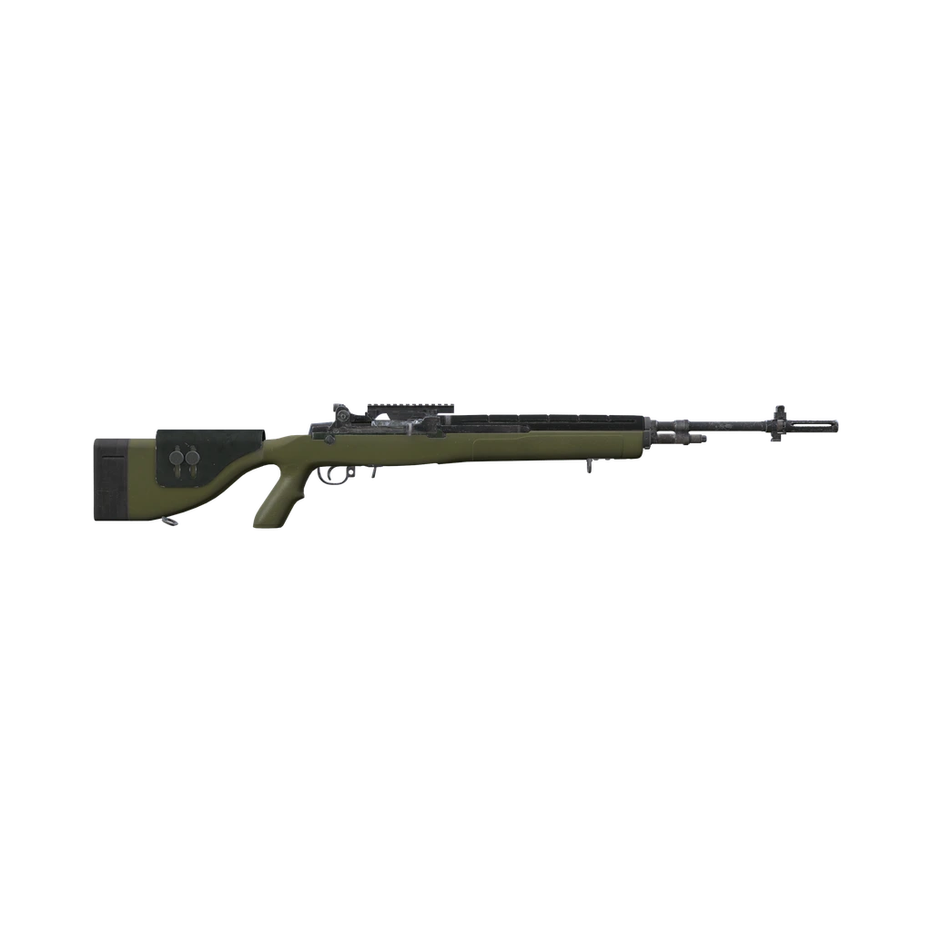 DMR (M14), DayZ