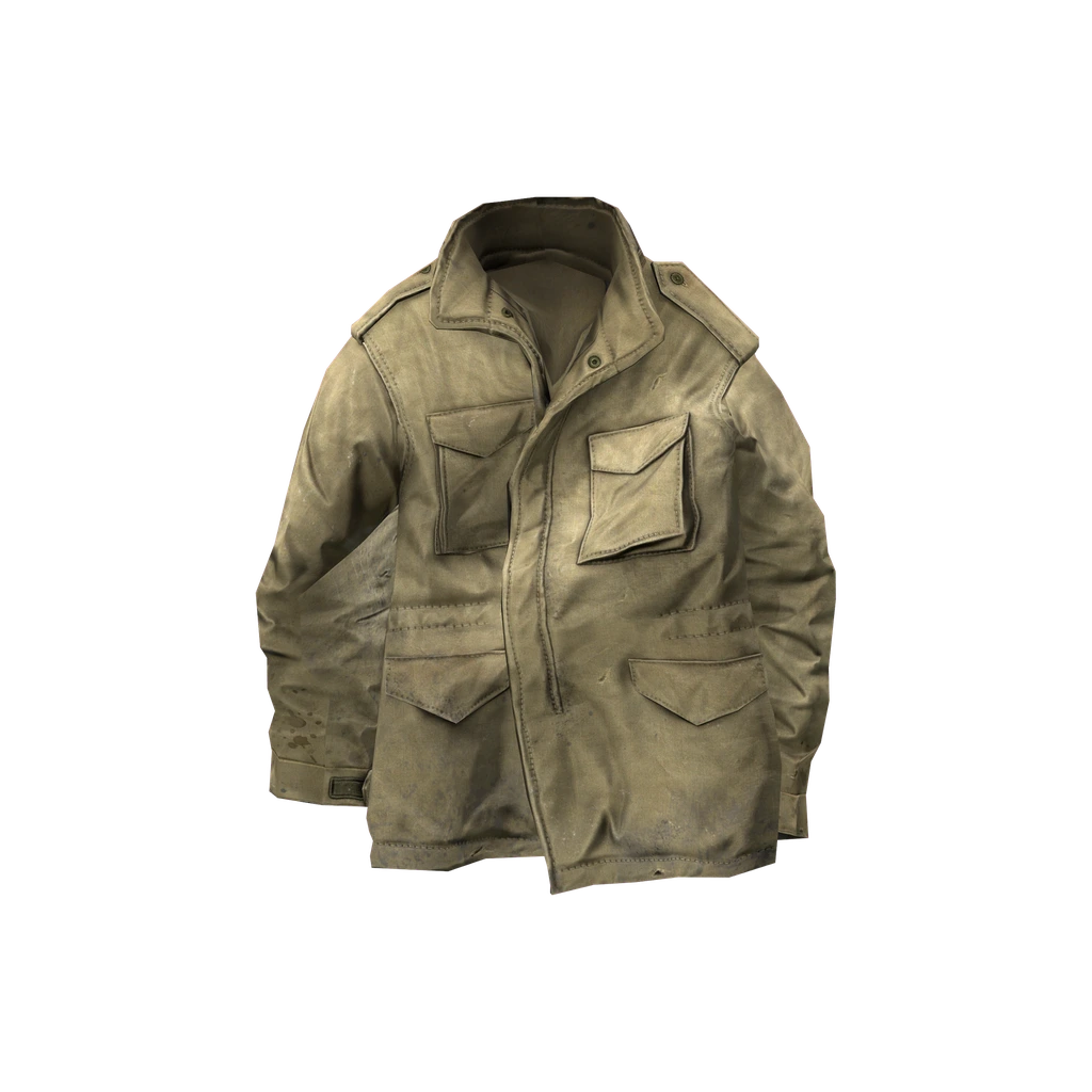 Jaqueta de campo (M65Jacket_Tan), DayZ