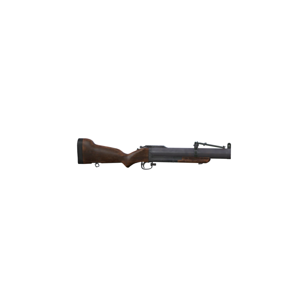 M79, DayZ