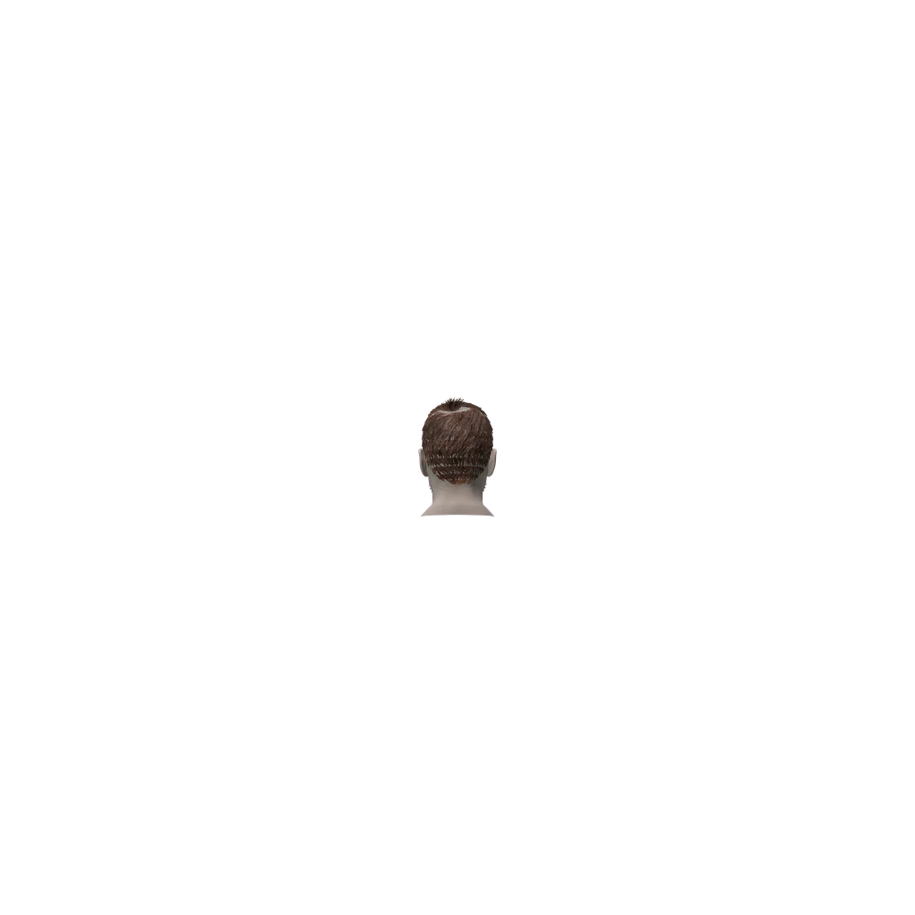face (MaleAdamHead_BeardEnd), DayZ