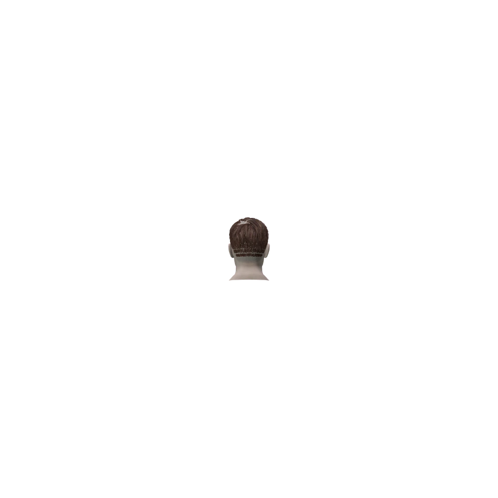 face (MaleNikiHead), DayZ