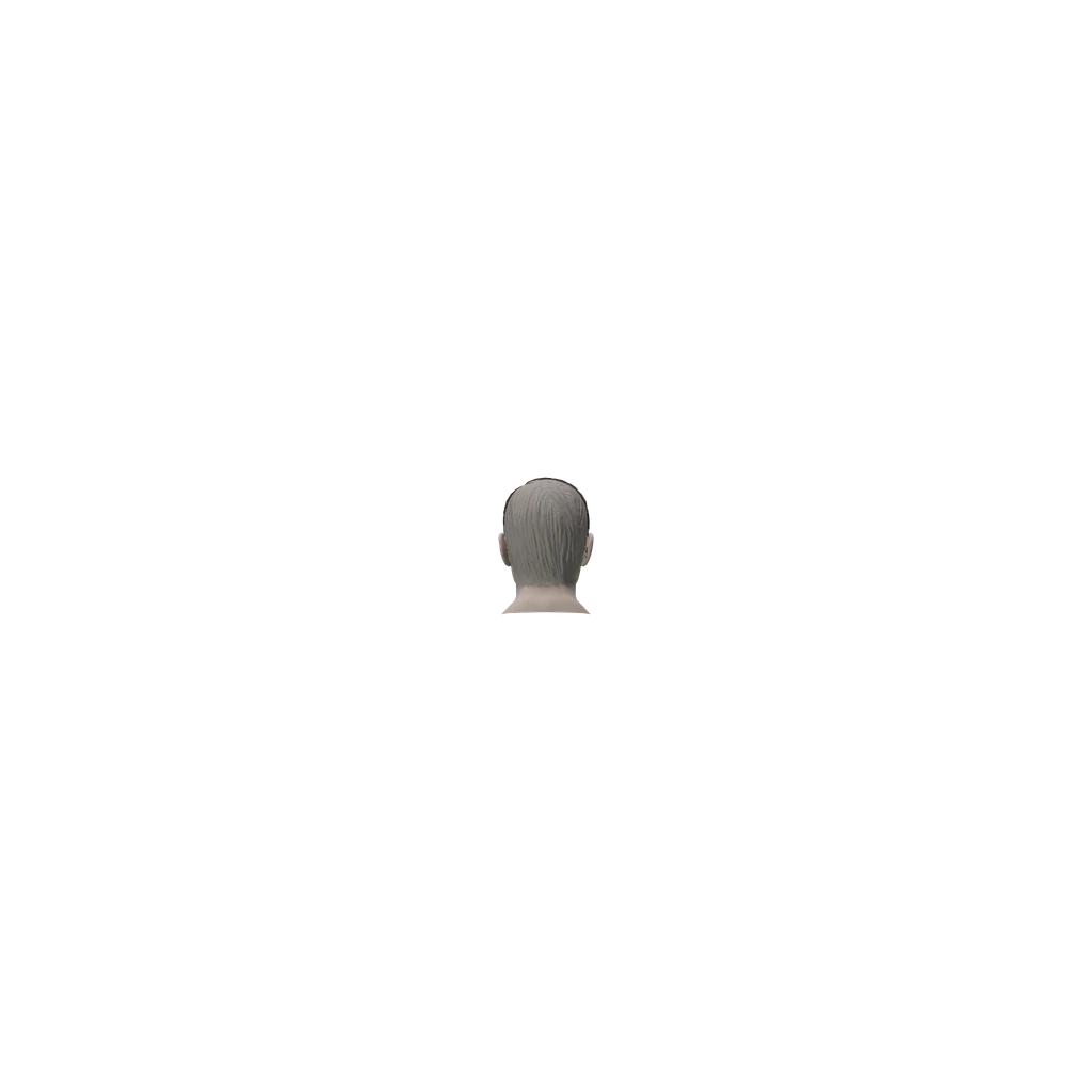 face (MaleOliverHead), DayZ