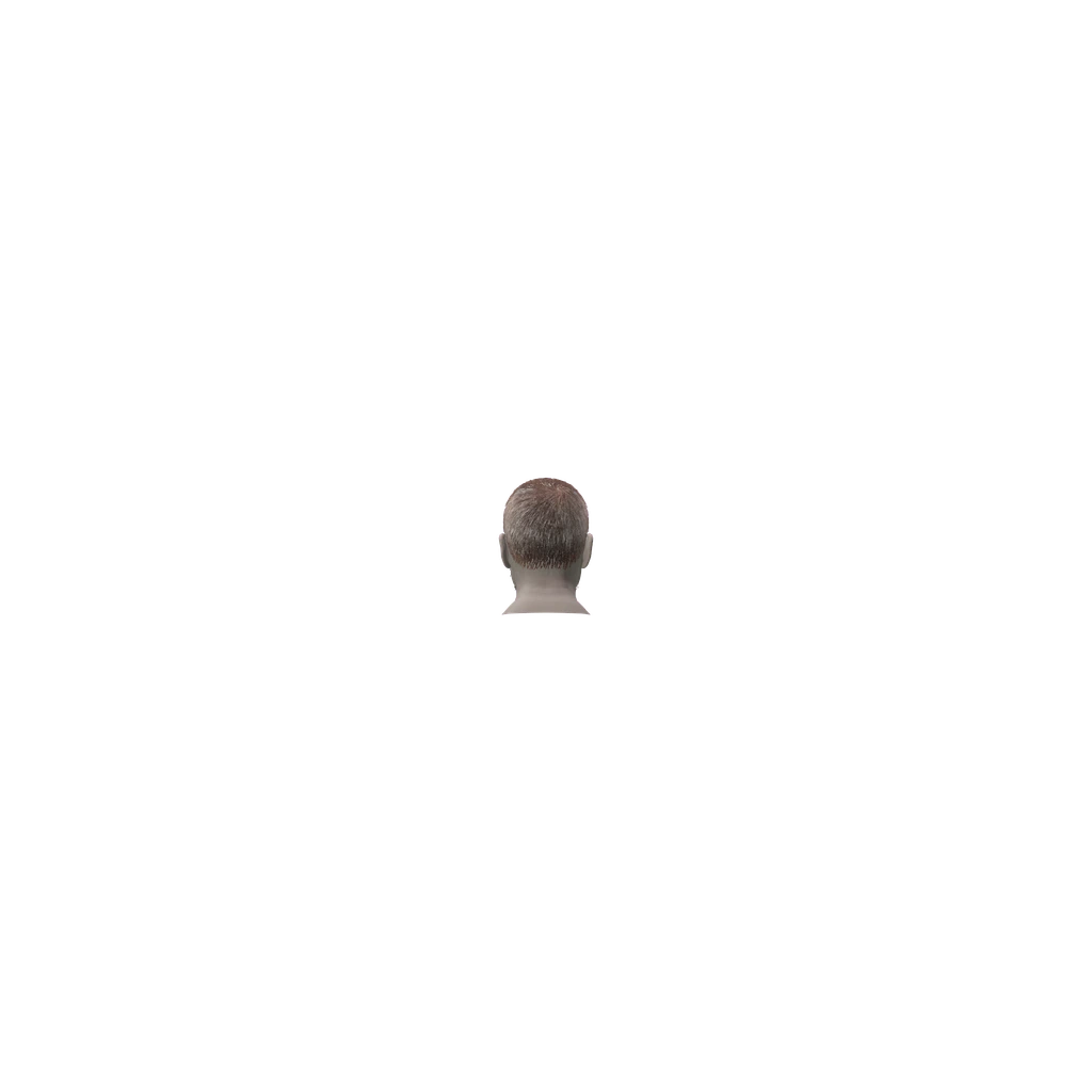 face (MaleQuinnHead), DayZ