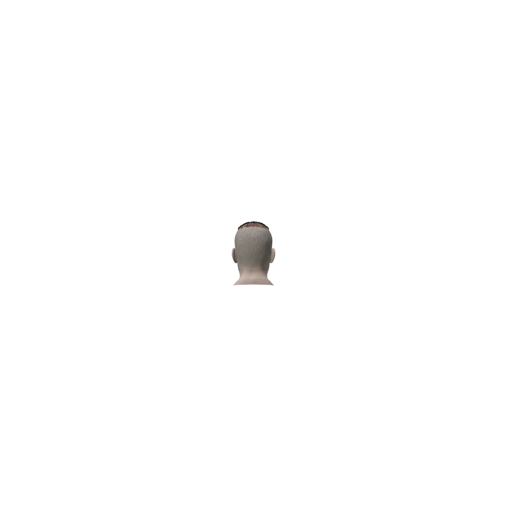 face (MaleRolfHead), DayZ