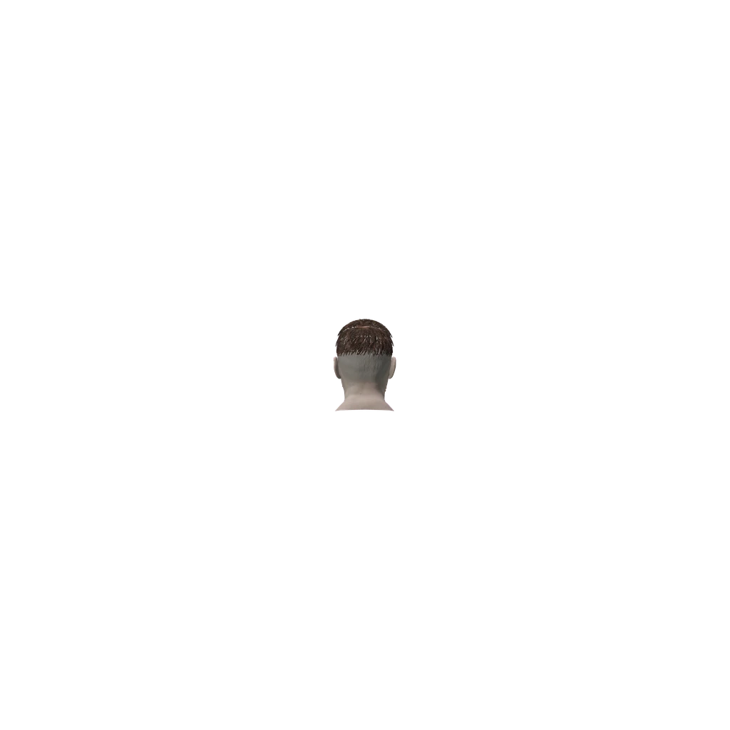 face (MaleSethHead), DayZ