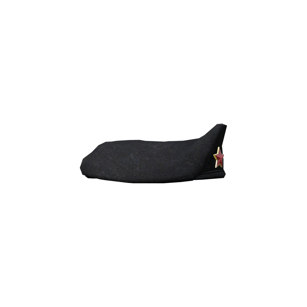 Beret (MilitaryBeret_ChDKZ), DayZ