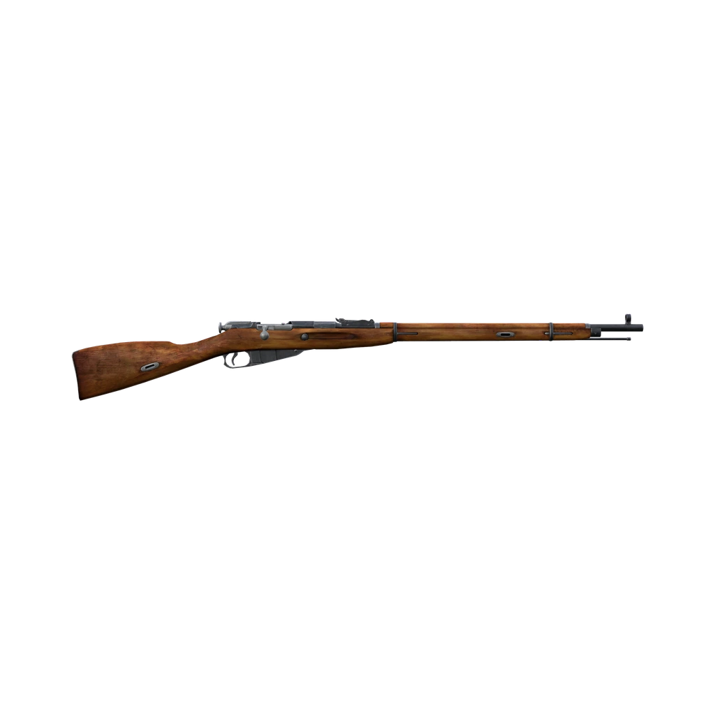 Mosin 91/30 (Mosin9130), DayZ