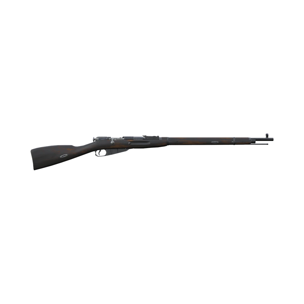 Mosin 91/30 (Mosin9130_Black), DayZ