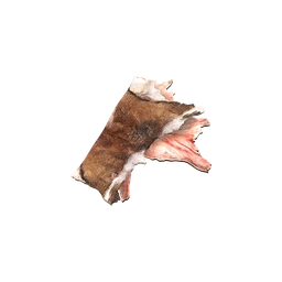 Pelt