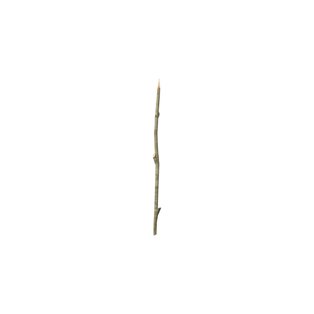 Obsolete Fishing Rod (ObsoleteFishingRod), DayZ
