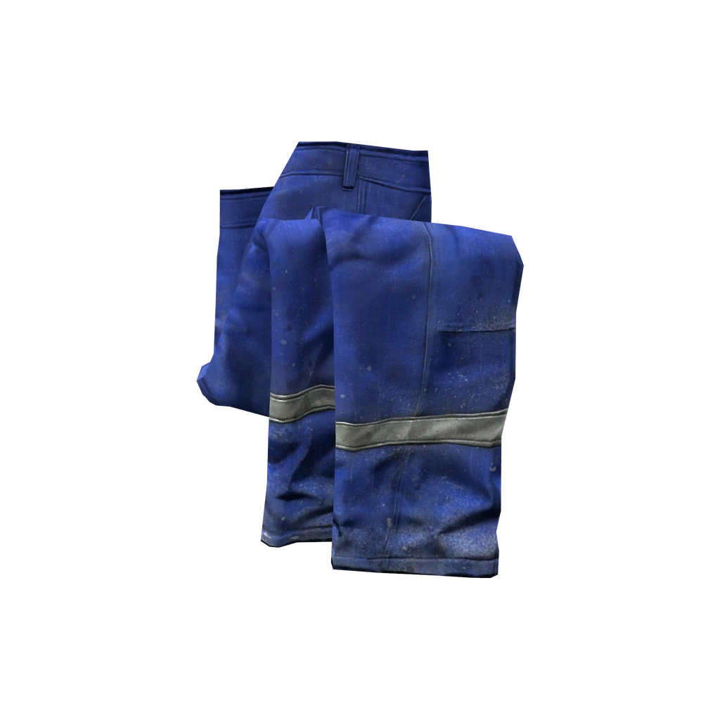 Штаны санитара (ParamedicPants_Blue), DayZ