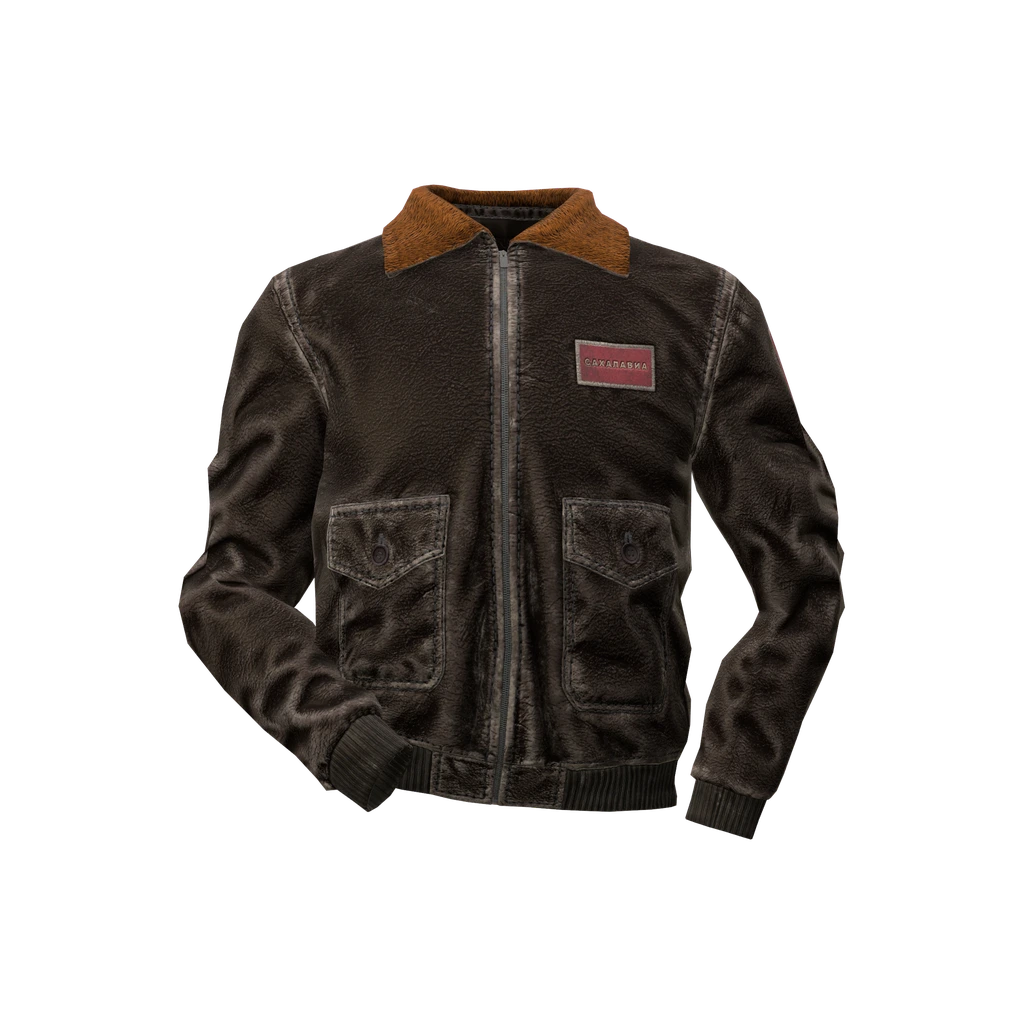 Куртка пилота (PilotJacket_Black), DayZ