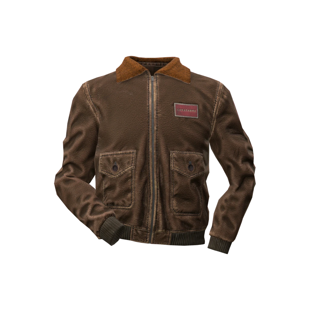 Куртка пилота (PilotJacket_Brown), DayZ