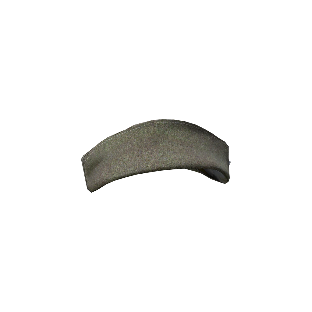 Пилотка (PilotkaCap), DayZ