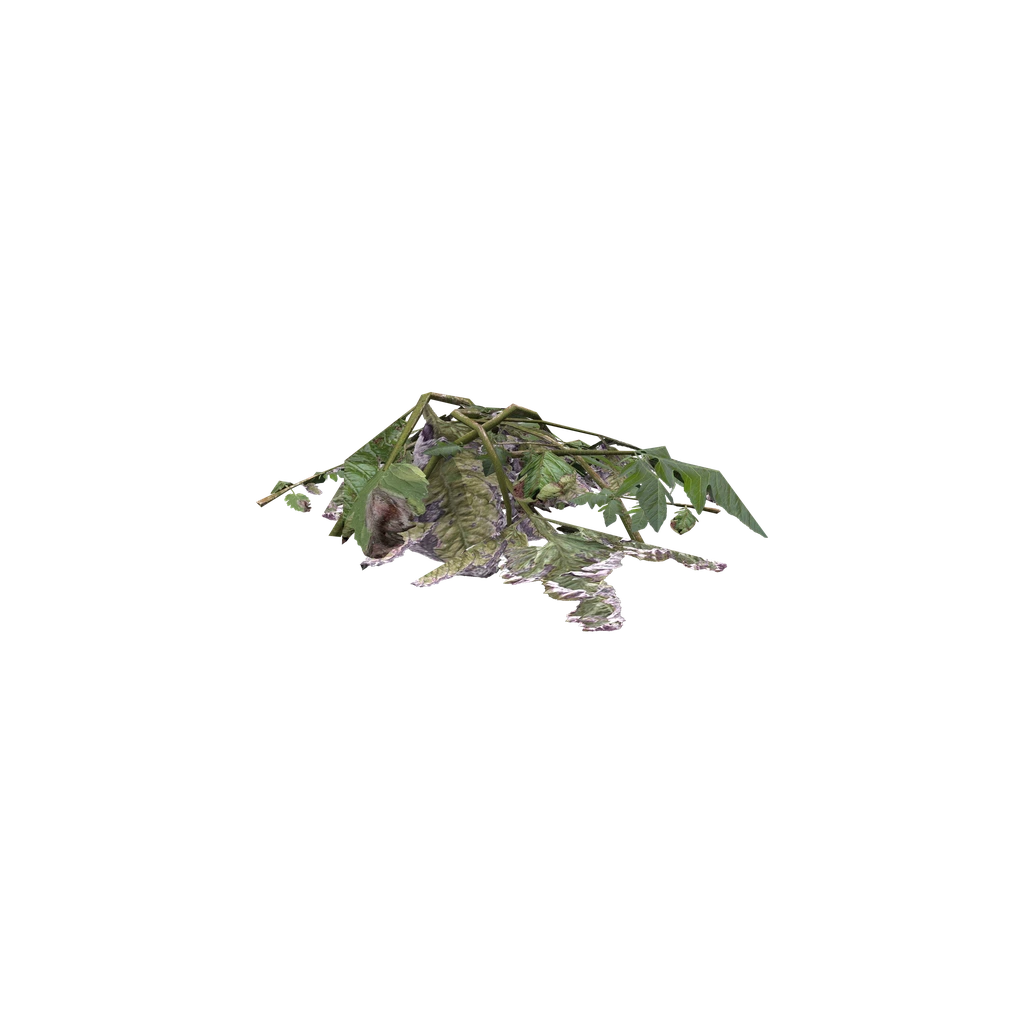 作物物料 (PlantMaterial), DayZ