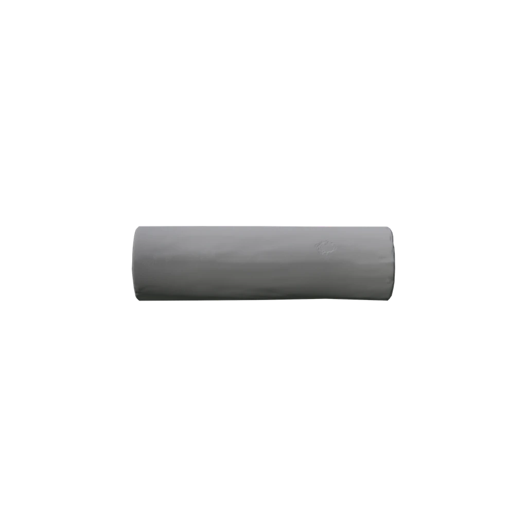 Plastic Explosive (Plastic_Explosive_Placing), DayZ