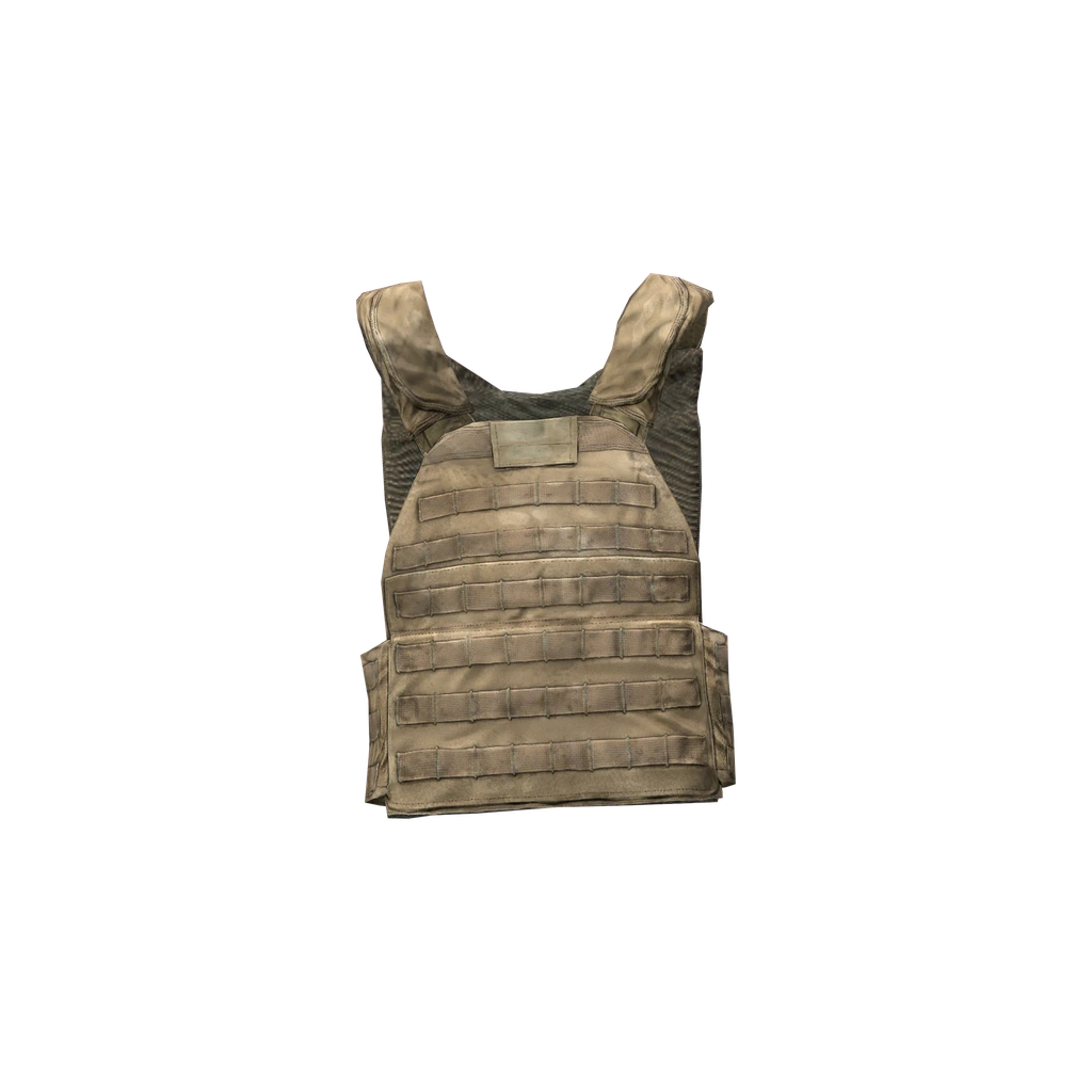 Бронежилет (PlateCarrierVest), DayZ