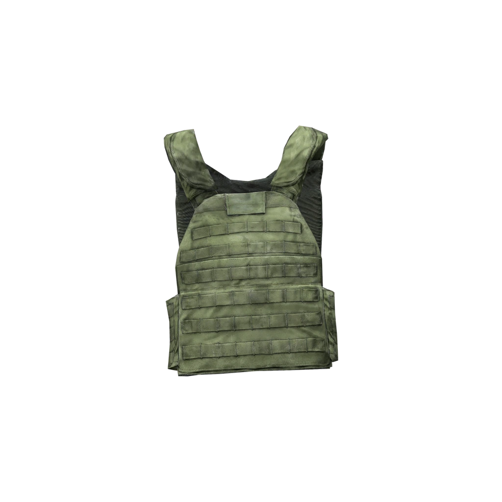 Бронежилет (PlateCarrierVest_Green), DayZ